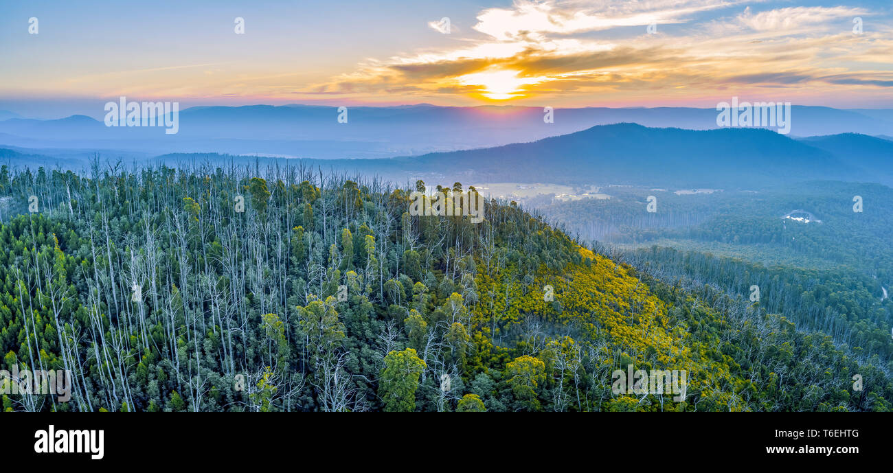 Tramonto su montagne e foreste in intervalli di Yarra Parco Nazionale Foto Stock