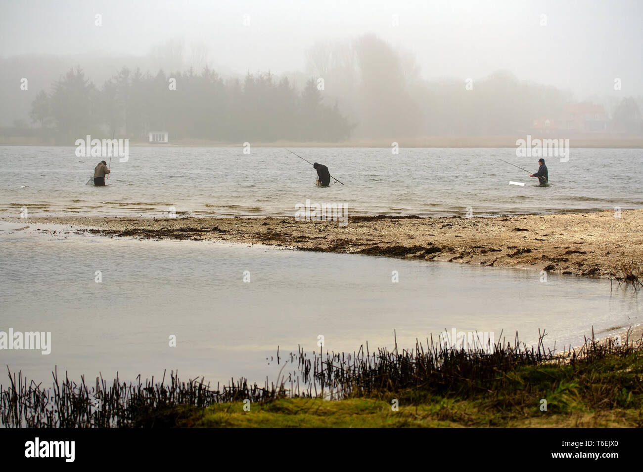 Il pescatore in Schlei. Germania Foto Stock