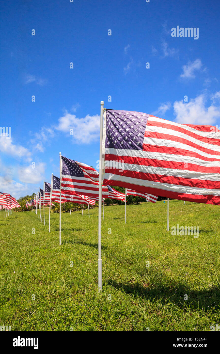 Display patriottica di più grandi bandiere nordamericane Foto Stock