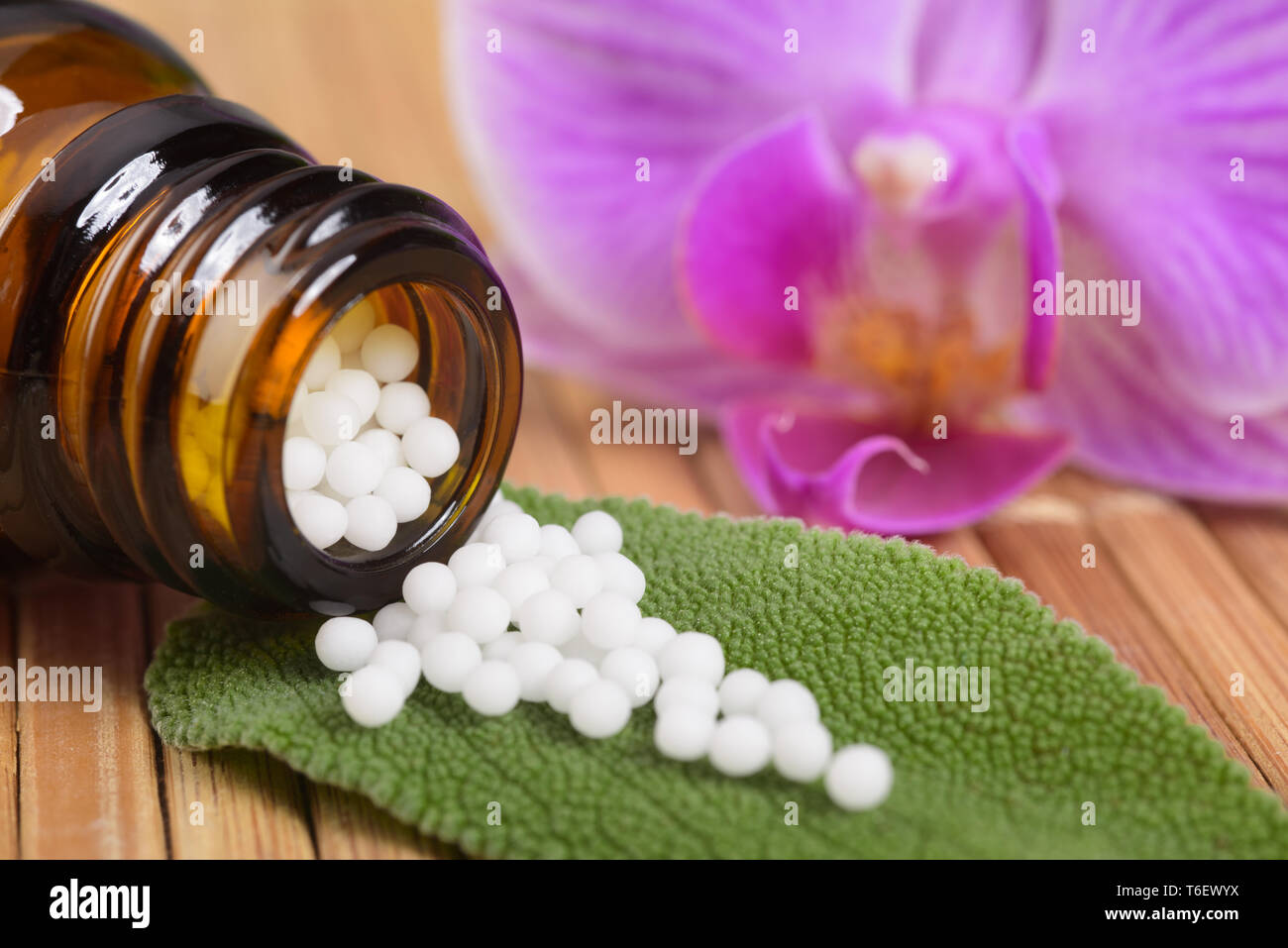 Medicina alternativa con erbe e di pillole omeopatici con essenza dalla pianta medicinale Foto Stock