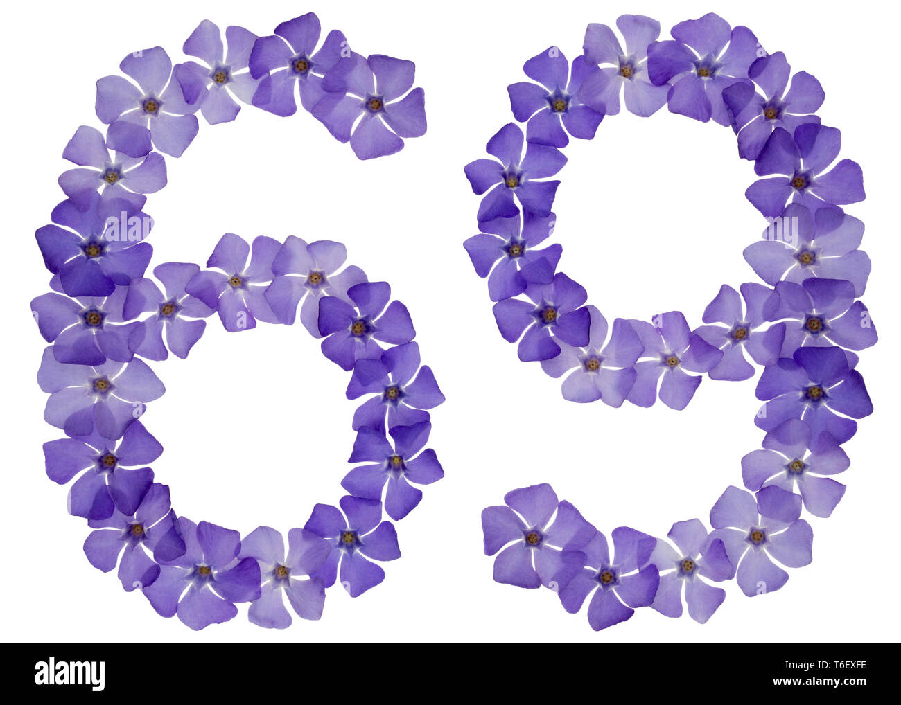 Il numero di riferimento 69, sessanta nove, dal naturale fiori blu di pervinca, isolato su sfondo bianco Foto Stock