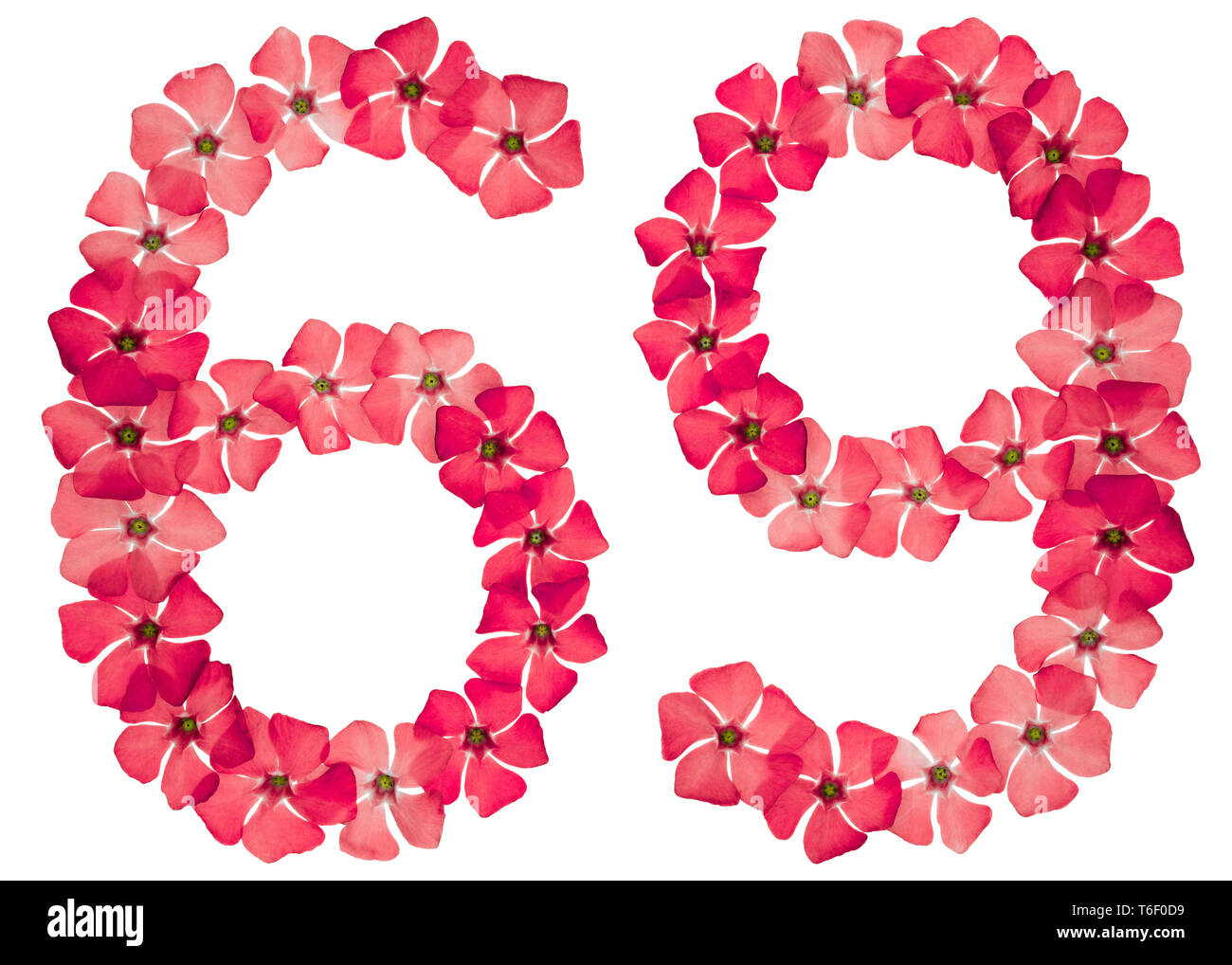Il numero di riferimento 69, sessanta nove, dal rosso naturale fiori di pervinca, isolati su sfondo bianco Foto Stock