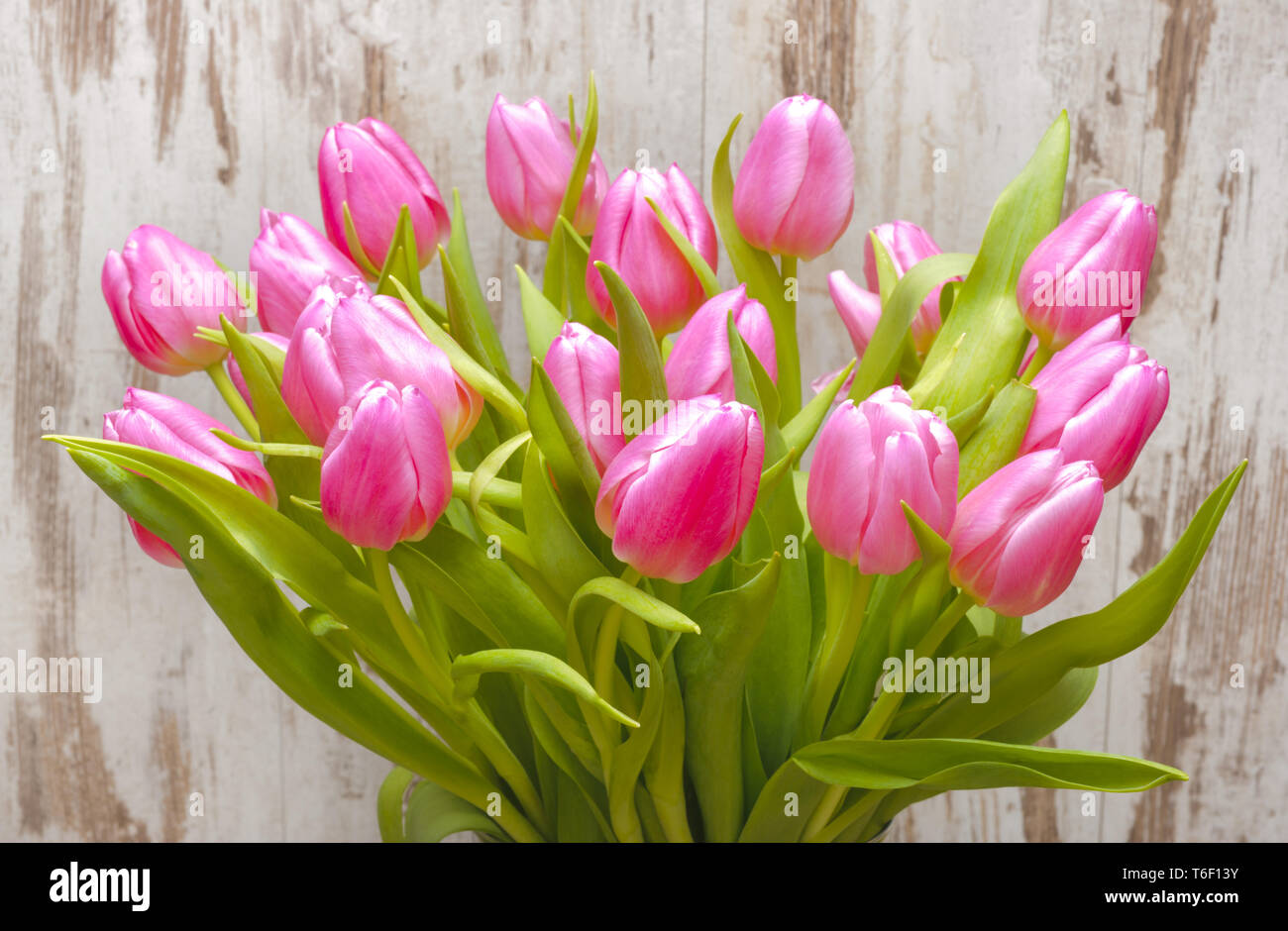 Mazzo di fiori colorati isolati su sfondo bianco Foto Stock