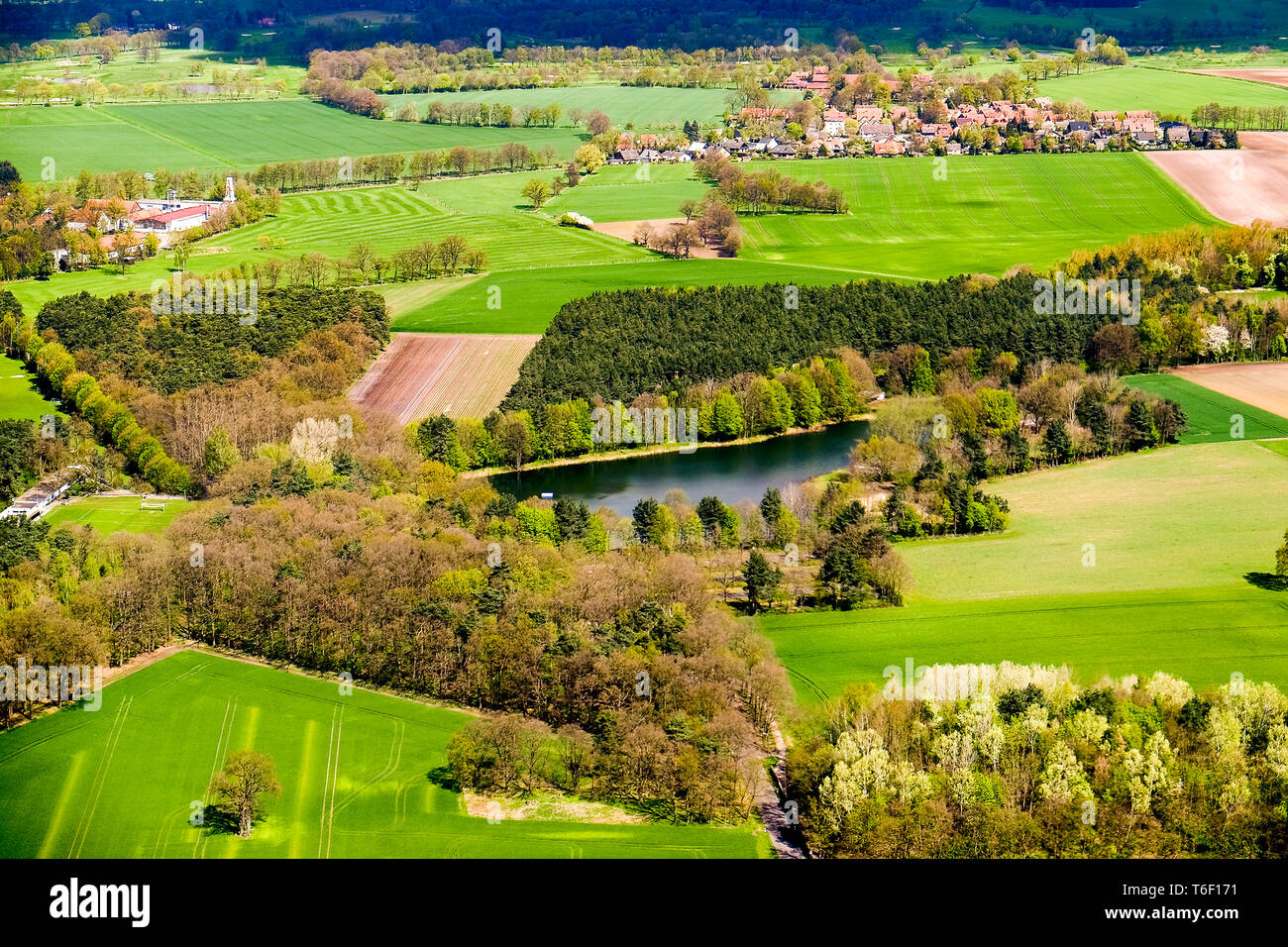 Arte paesaggio rurale. Campo e erba. Foto Stock