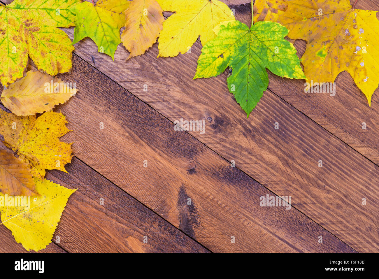 Decorazione autunnale con zucca e foglie Foto Stock