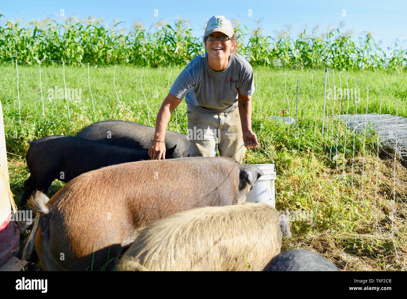 Lavoro duro contadina sulla piccola fattoria svolgendo mansioni di portare acqua e alimentazione di suini al di fuori di Decorah, Iowa, USA Foto Stock