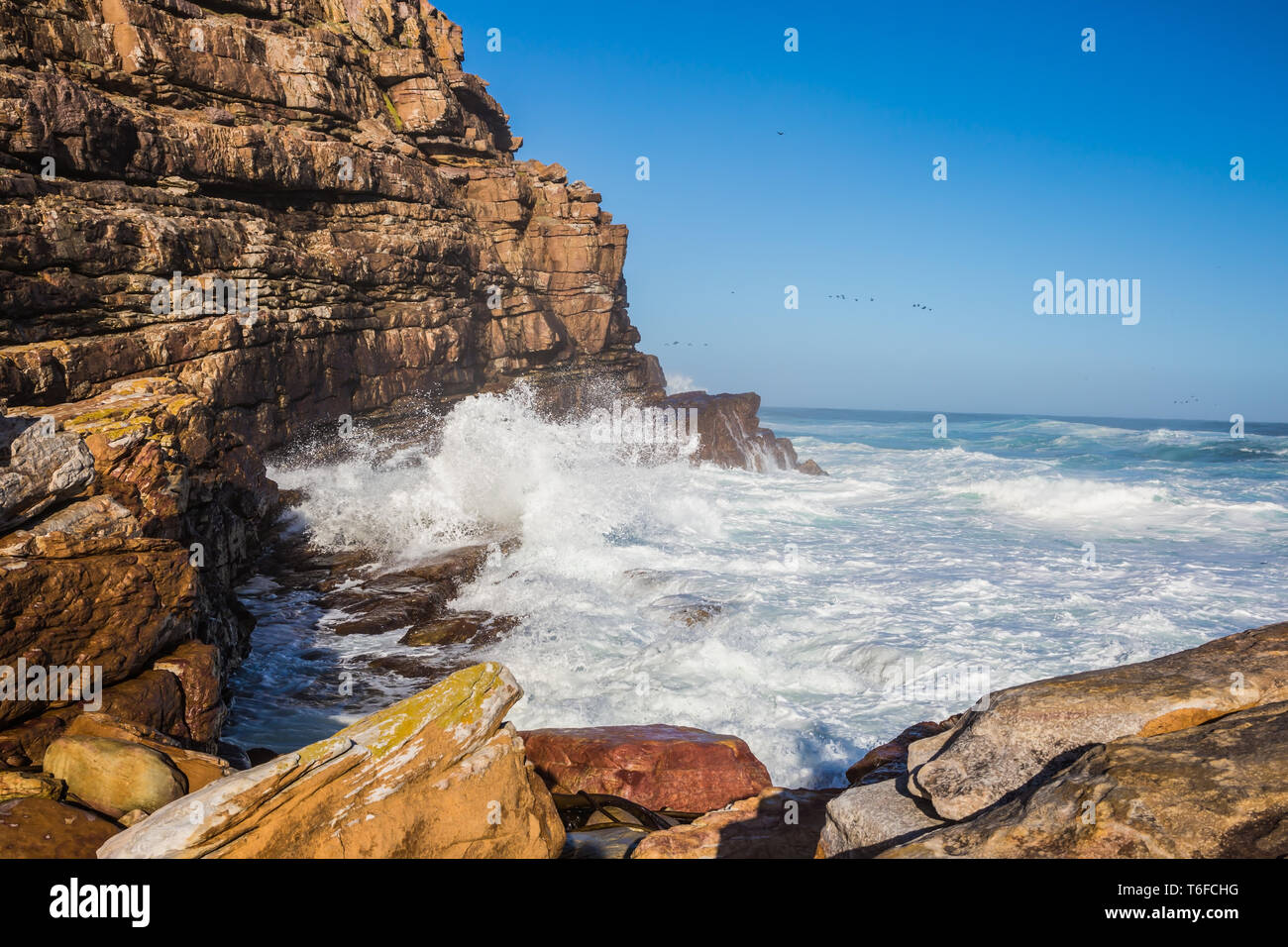 Capo di Buona Speranza - sud-occidentale dell'Africa Foto Stock