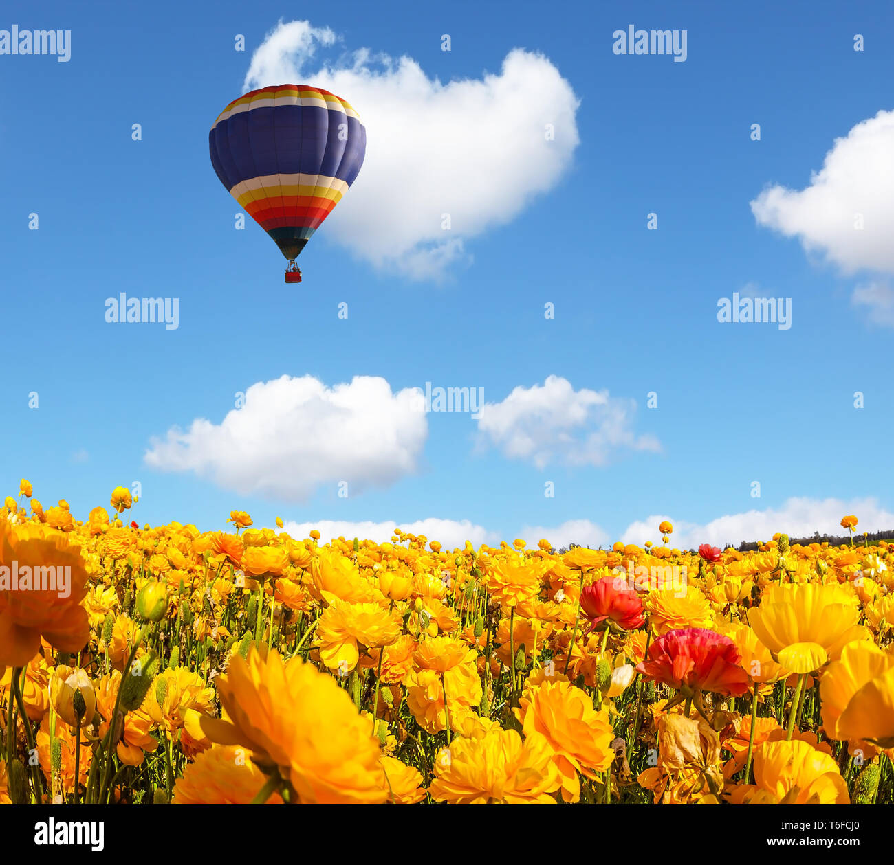 Un enorme pallone vola sopra il campo Foto Stock