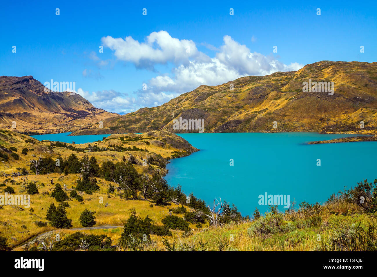 Rio Paine - silenzioso flusso di fiume Foto Stock