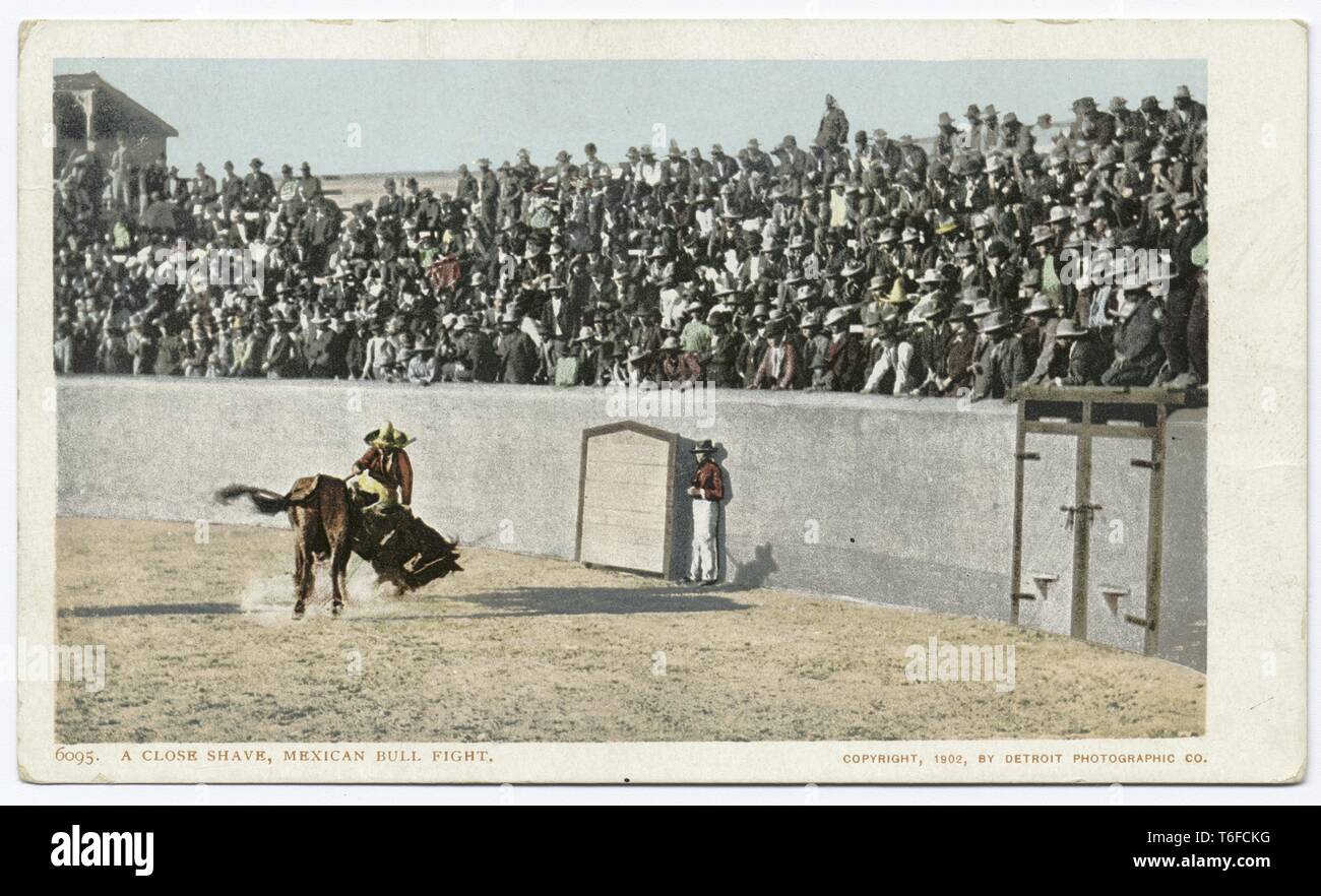 Detroit Publishing Company vintage riproduzione cartolina di 'una rasatura', messicano Bull lotta, 1902. Dalla Biblioteca Pubblica di New York. () Foto Stock