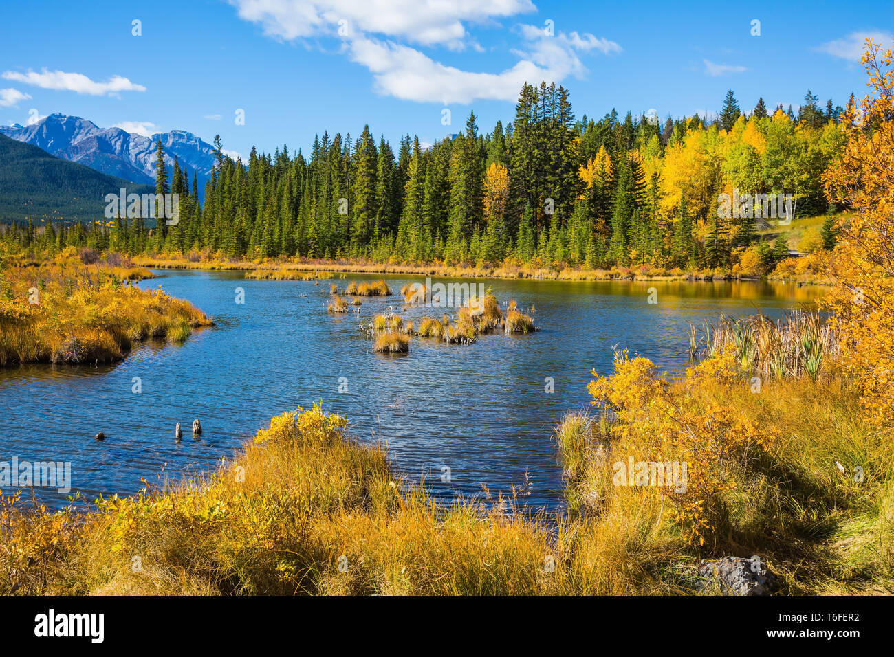 Canadian Rocky Mountains Foto Stock