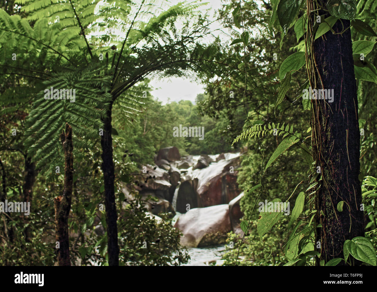 Naturalmente incorniciato nella foresta pluviale sulla finestra Babinda Creek da Devil's Pool a piedi via a Massi Babinda vicino a Cairns nel lontano Nord Queensland, Australia Foto Stock