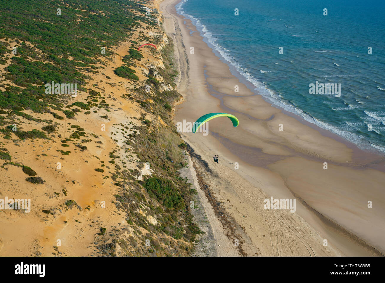 VISTA AEREA. Parapendio utilizzando una brezza del mare abbastanza forte per salire lungo una scogliera panoramica. Matalascañas, Andalusia, Spagna. Foto Stock