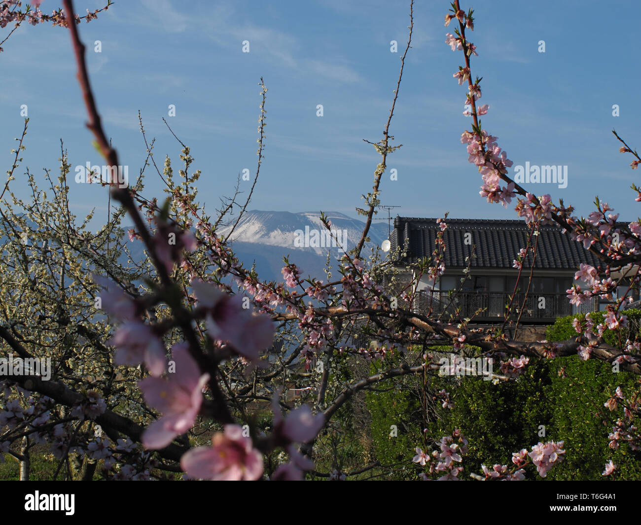 Giardini A Saku, Giappone Foto Stock