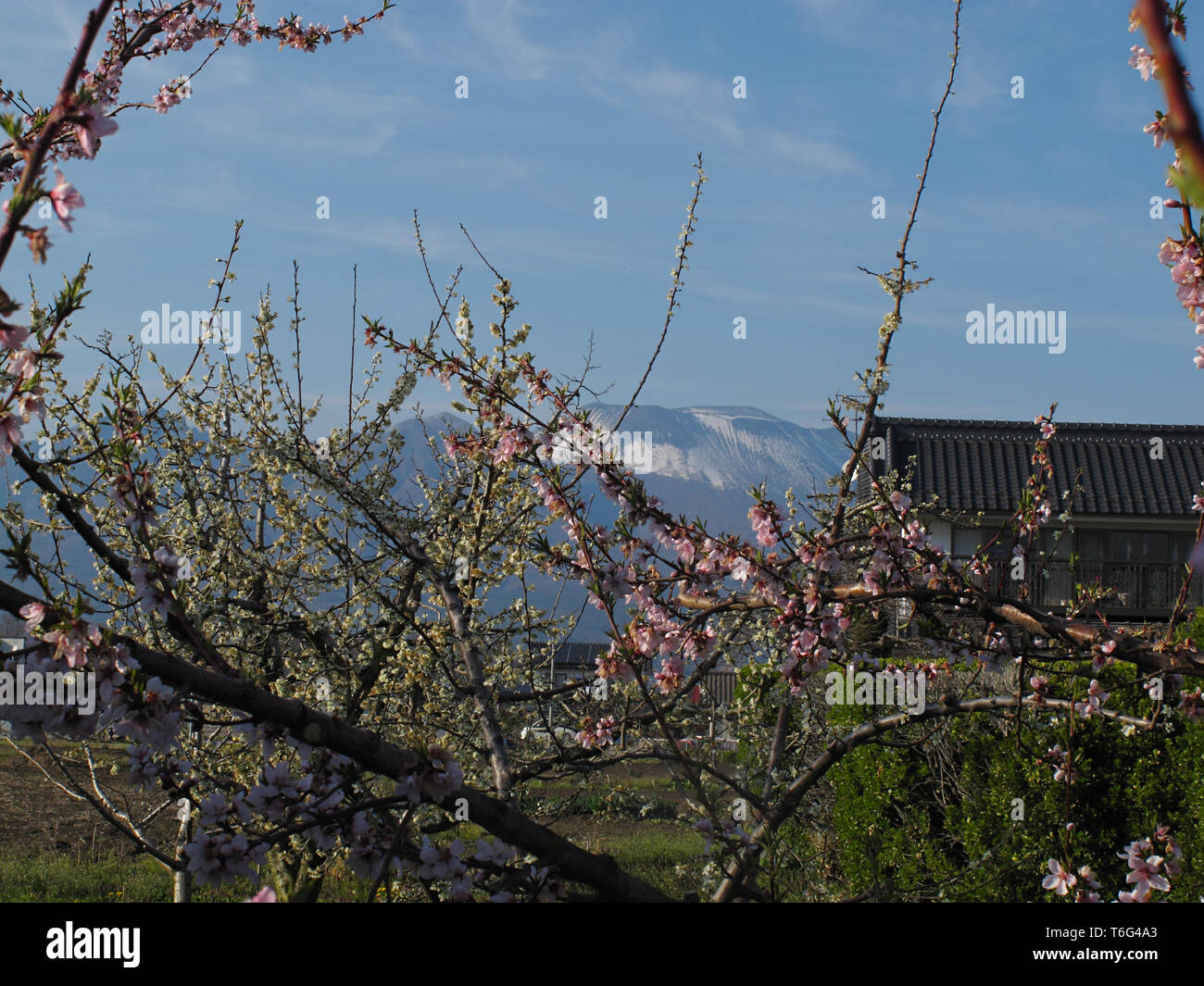 Giardini A Saku, Giappone Foto Stock