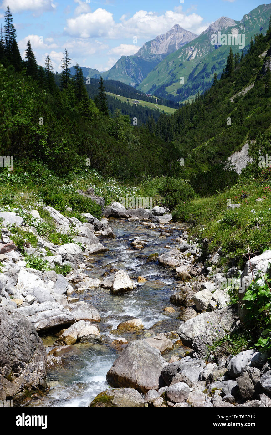 Torrente alpino, paesaggio alpino, Austria Vorarlberg, Foto Stock