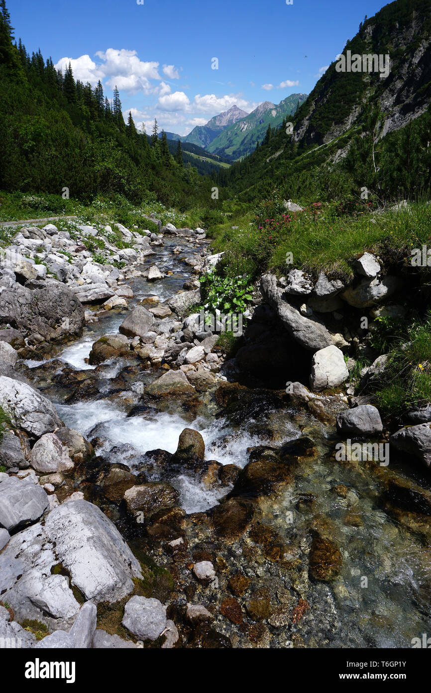 Torrente alpino, paesaggio alpino, Austria Vorarlberg, Foto Stock