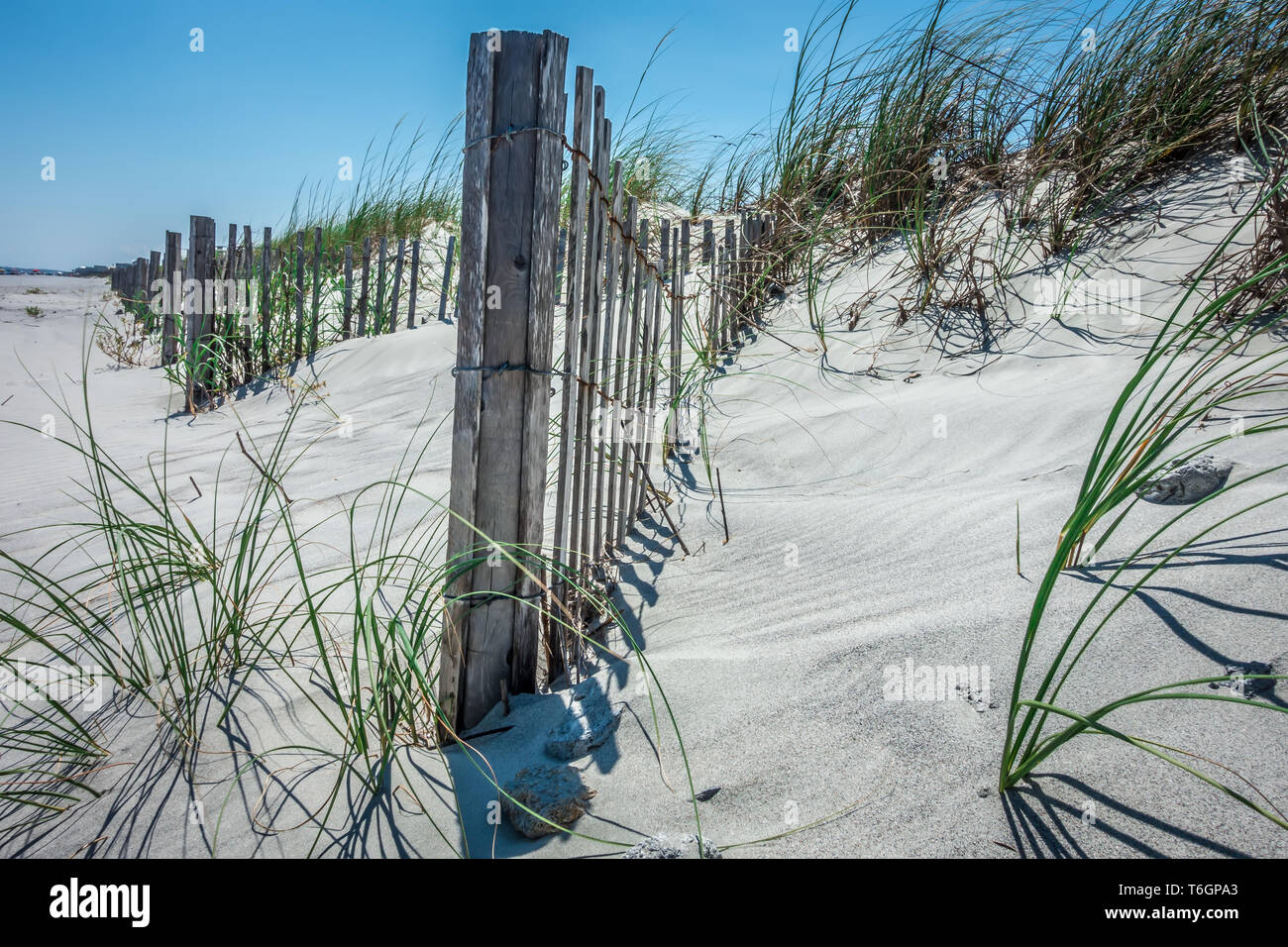 Grassy ventoso dune di sabbia sulla spiaggia Foto Stock