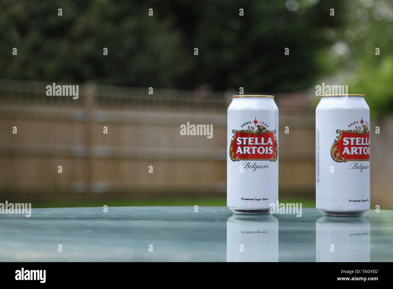 Lattine di Stella Artois lager, fuori sul tavolo in giardino inglese durante la primavera con spazio per la copia Foto Stock