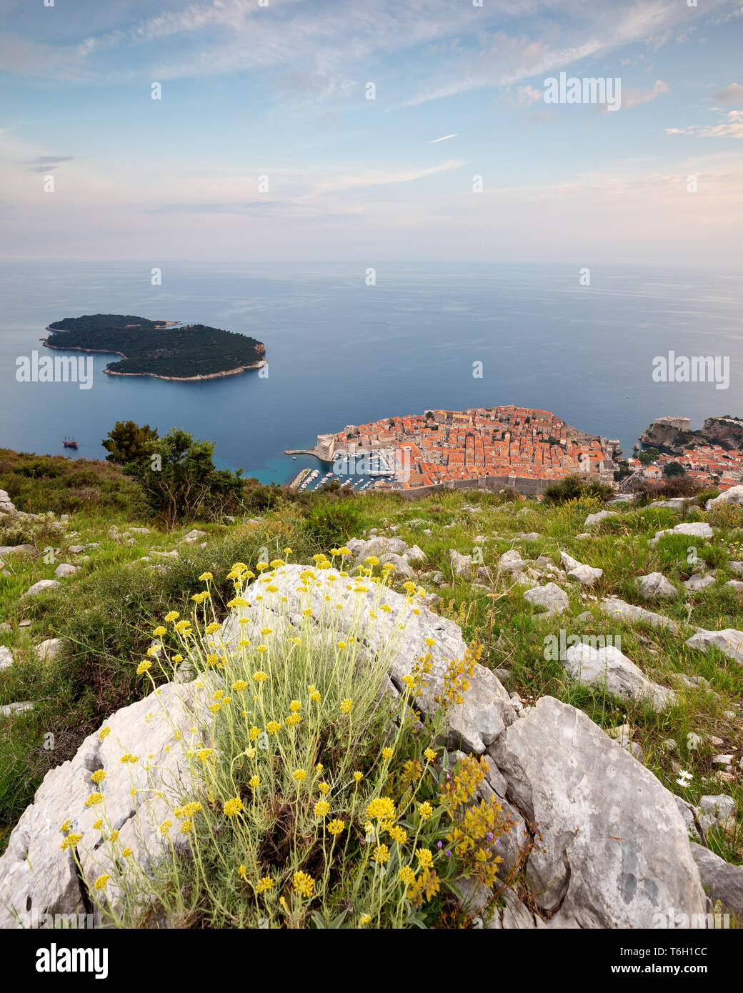Fiori gialli e rocce. Vista su Dubrovnik, città vecchia, vista dalla cima della collina Sergio. Dalmazia. Croazia. Europa Foto Stock