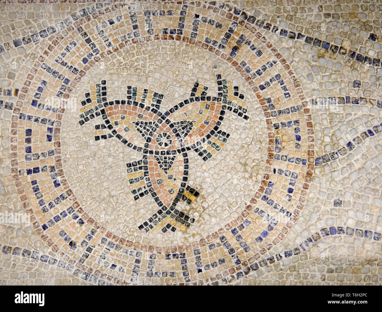 Pesce pavimento a mosaico nella parte anteriore della Chiesa greco-ortodossa di San Giovanni di Gerusalemme, Israele. Foto Stock