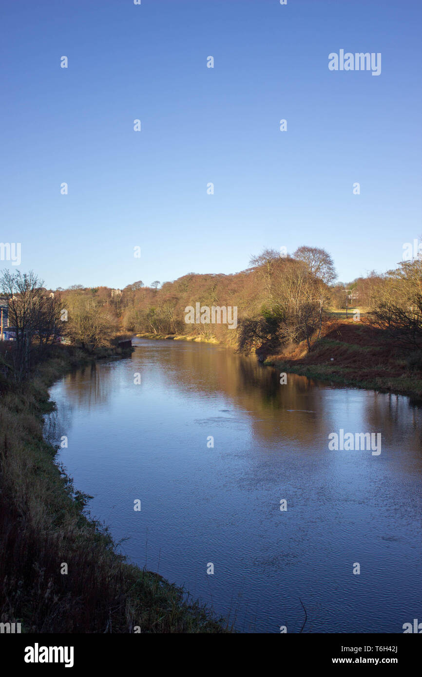 Don fiume in Seaton Park Foto Stock