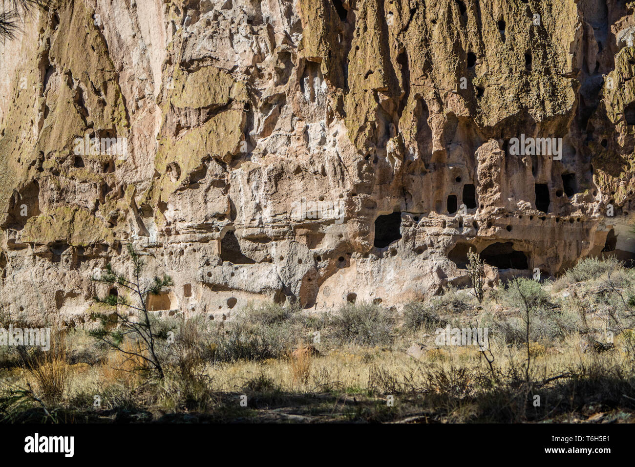 Cliff Dimora Le Rovine di Bandelier National Monument, Nuovo Messico Foto Stock
