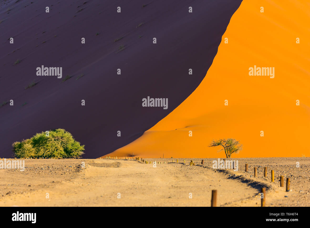 Cresta delle dune Foto Stock