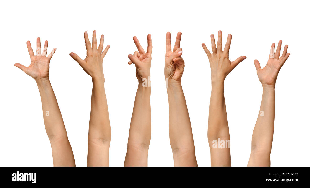Sei mani umane sventolare su sfondo bianco Foto Stock