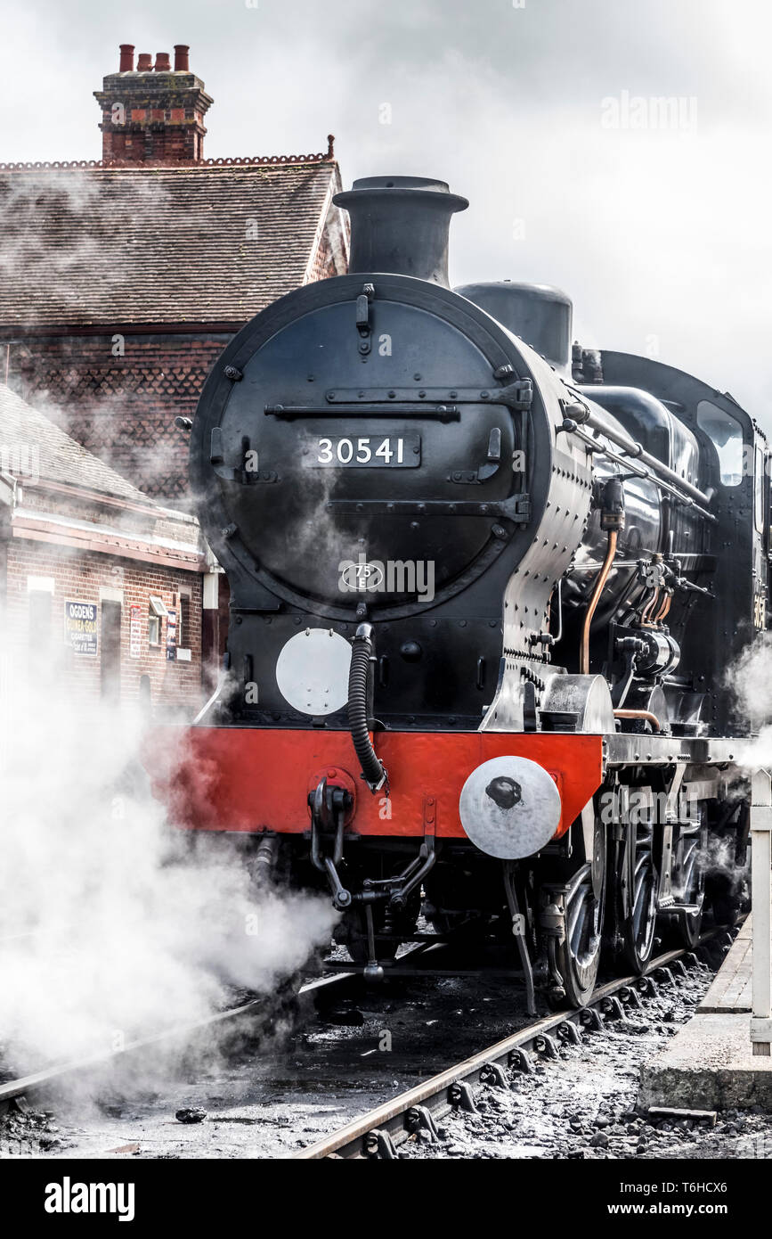 Il famoso Bluebell patrimonio Linea ferroviaria visto qui con la classe 4F 0-6-0 30541 treno a vapore a Sheffield Park stazione ferroviaria Foto Stock