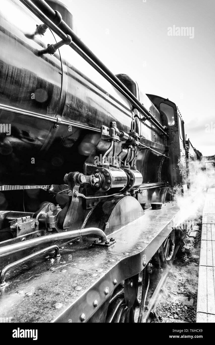 Il famoso Bluebell patrimonio Linea ferroviaria visto qui a con la classe 4F 0-6-0 30541 treno a vapore in monocromia a Sheffield Park stazione ferroviaria Foto Stock