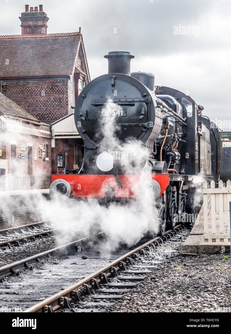 Il famoso Bluebell patrimonio Linea ferroviaria visto qui con la classe 4F 0-6-0 30541 treno a vapore a Sheffield Park stazione ferroviaria Foto Stock