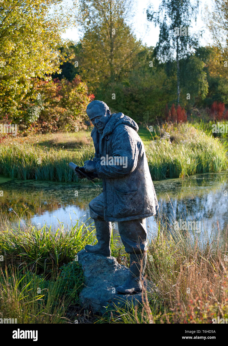 Una statua di Sir Peter Scott (1909 - 1989), il conservationalist e fondatore del Wildfowl and Wetlands Trust, all'WWT London Wetland Centre Foto Stock