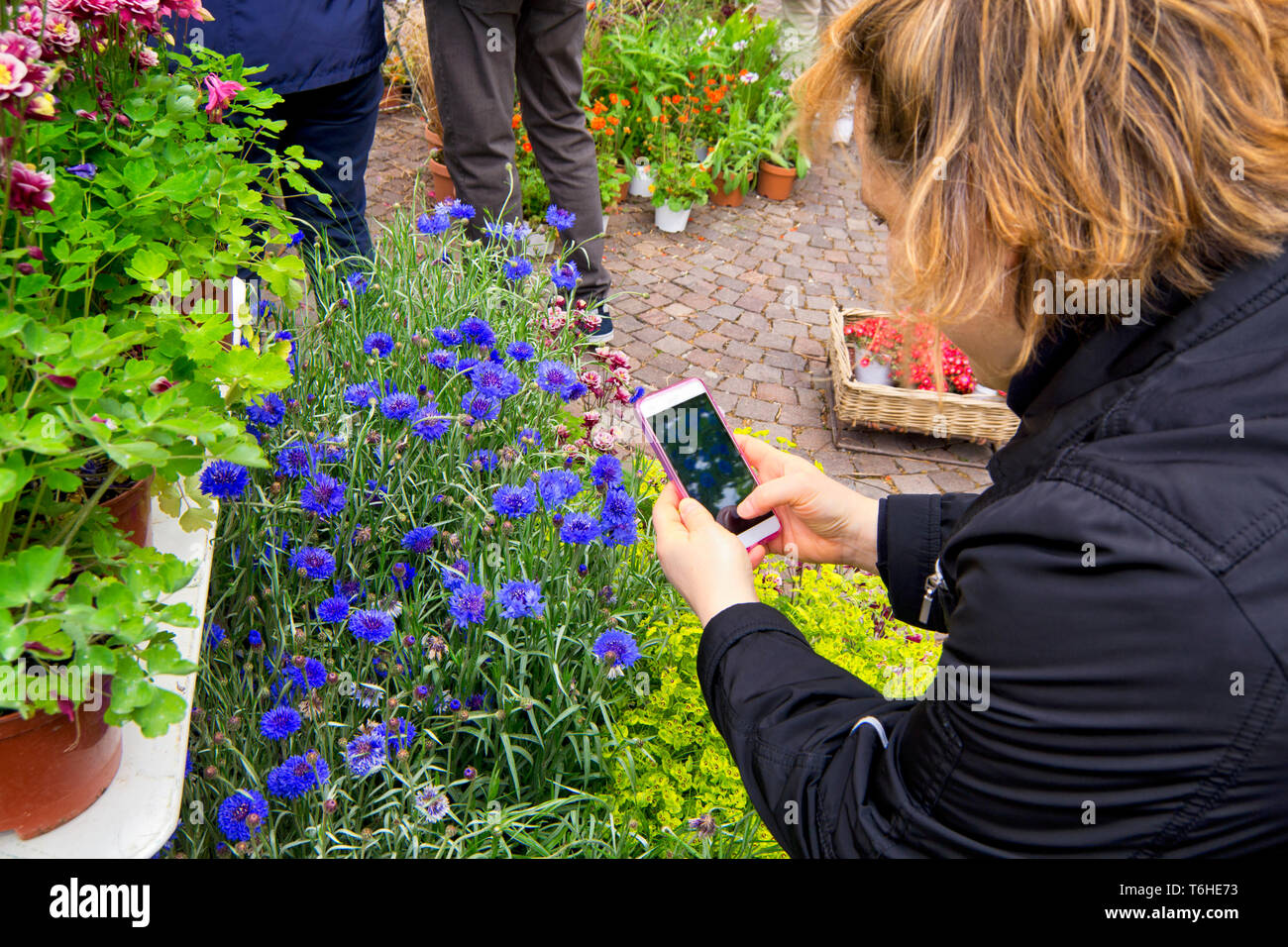 Donna che mantiene un smartphon nelle sue mani di scattare una foto di fiori durante un mercato di fiori per le esposizioni Foto Stock