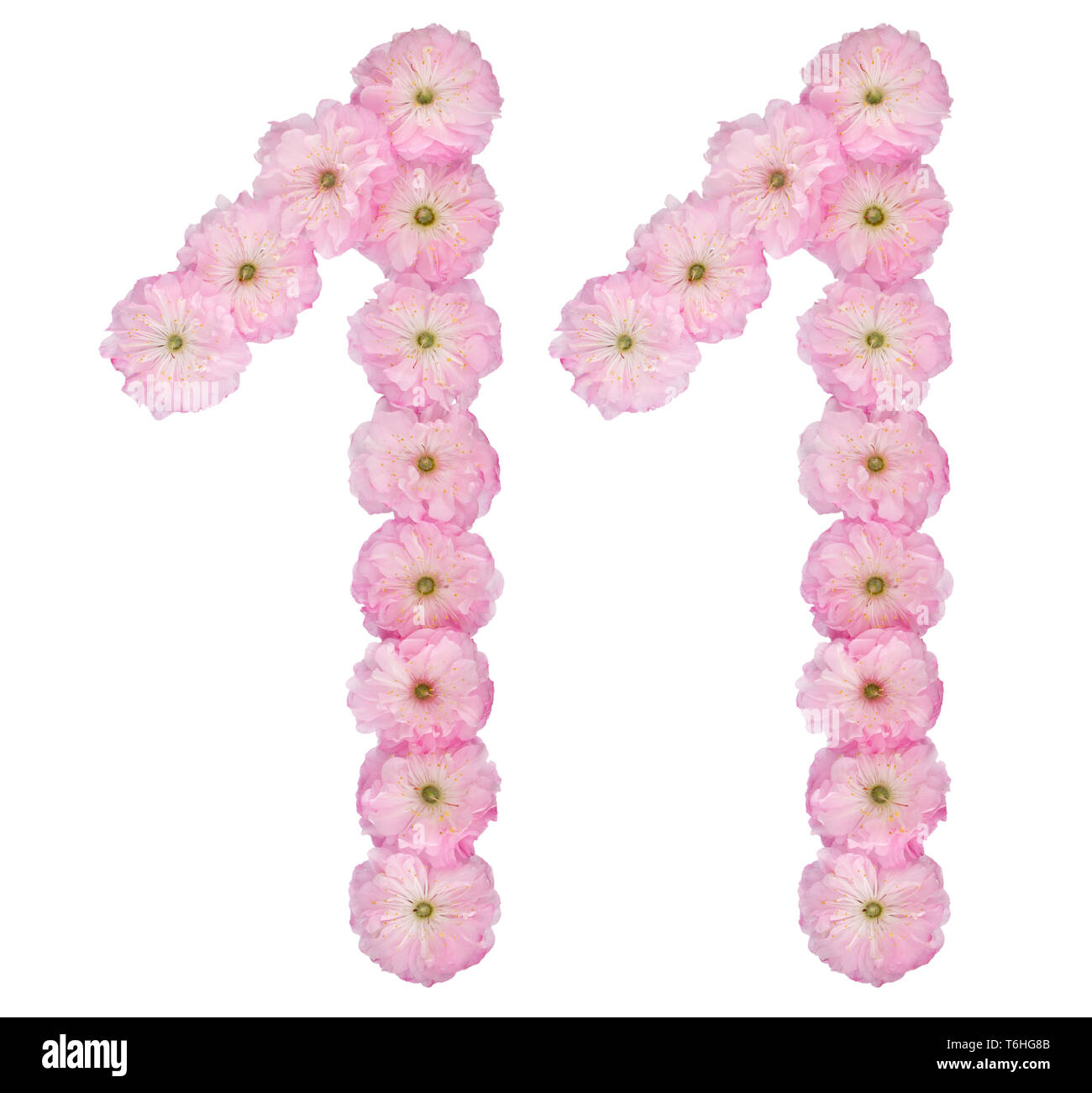 Il numero di riferimento 11, undici, dal colore rosa naturale di fiori di mandorlo, isolato su sfondo bianco Foto Stock