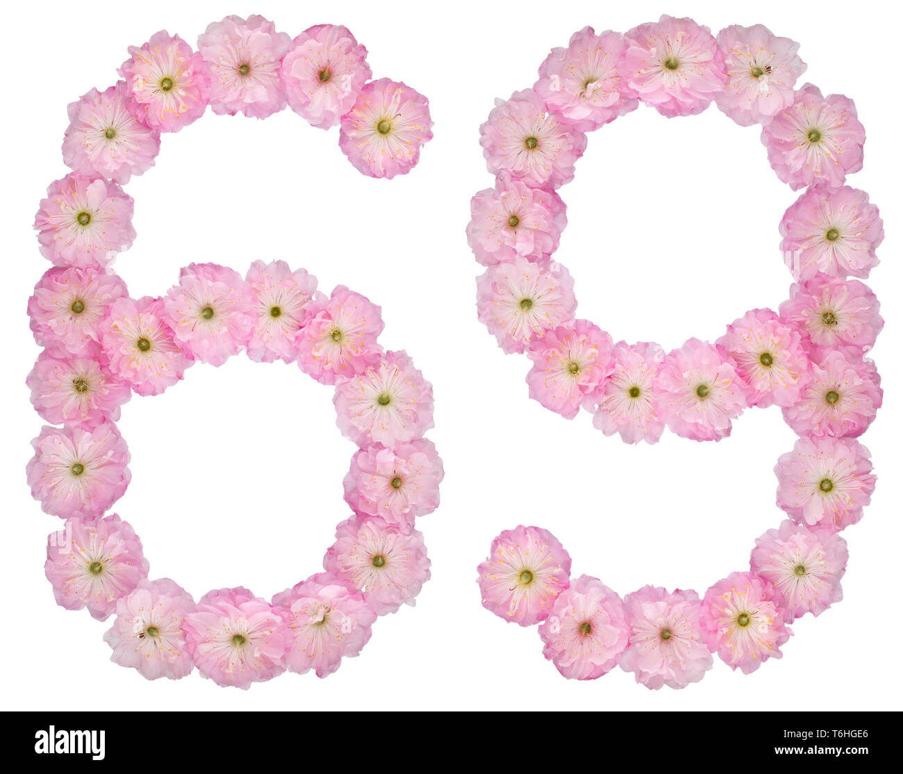 Il numero di riferimento 69, sessanta nove, dal colore rosa naturale di fiori di mandorlo, isolato su sfondo bianco Foto Stock