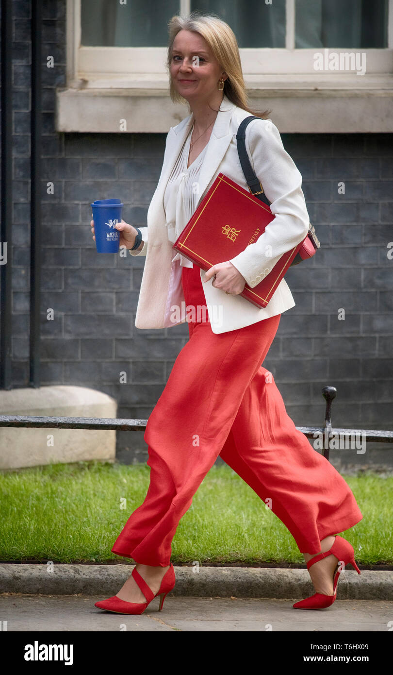 Regno Unito. Il 30 aprile 2019. Elizabeth Truss, Primo Segretario al Tesoro a Downing Street per settimanale riunione del gabinetto. Credito: Malcolm Park/Alamy Foto Stock
