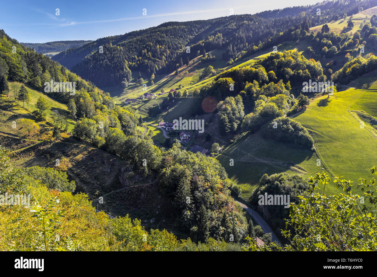 Lussureggianti prati verdi della valle Münstertal con molte frazioni, denti e fattorie, Foresta Nera meridionale, Germania, Münstertal/Schwarzwald Foto Stock