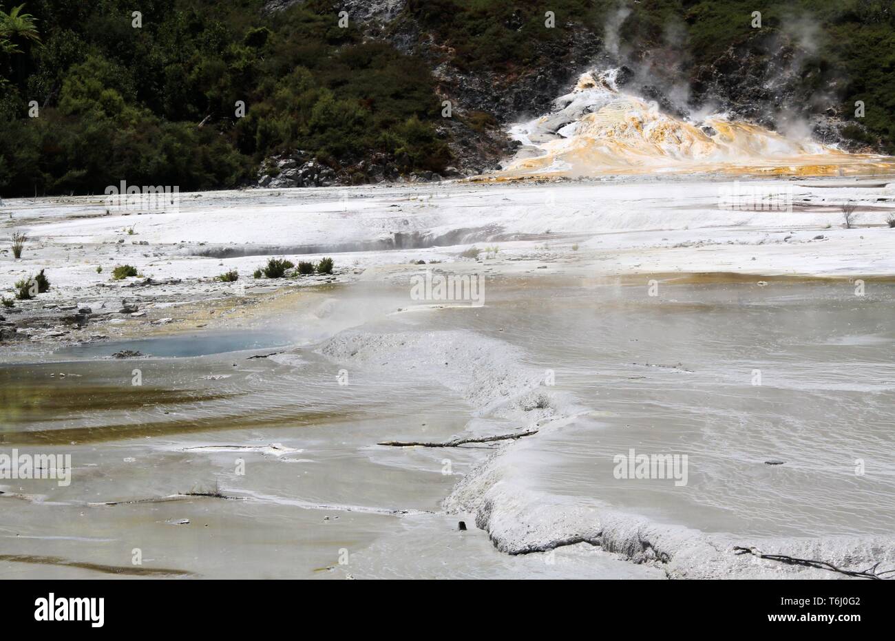 Orakei Korako nascosta Valle geotermica - terrazza Smeraldo: vista sulla pianura bianco sinterizzare terrazza con blu chiaro per la cottura a vapore piscina calda Foto Stock