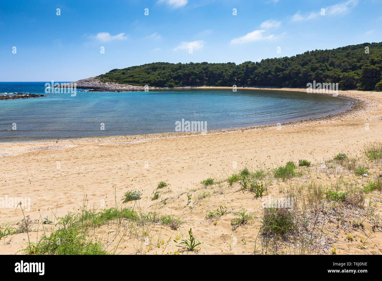 Laguna, baia di Blace (Lemuni). Spiaggia di sabbia. Saplunara. Isola di Mljet. Croazia. Europa. Foto Stock