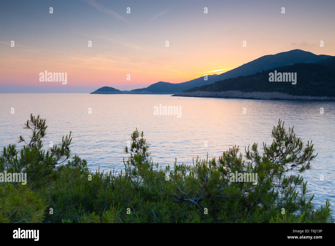 Il pino lascia un tramonto alla luce del sole nella baia di Saplunara. Mare Adriatico. Isola di Mljet. Croazia. Europa Foto Stock