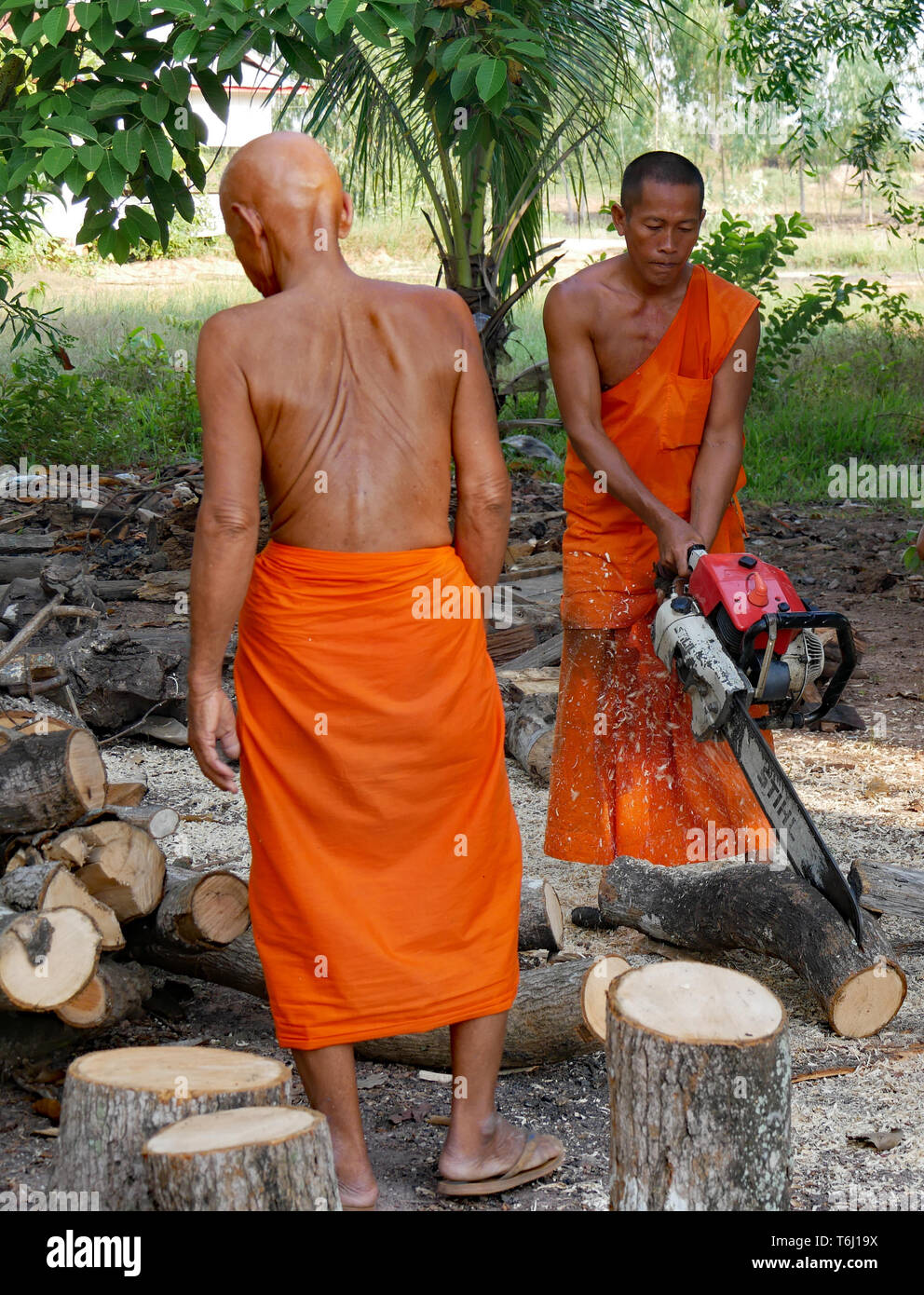 Un monaco buddista che indossa abiti dello zafferano il taglio di legna da ardere con una motosega. Kampong Thom, Cambogia, 20-12-2018 Foto Stock