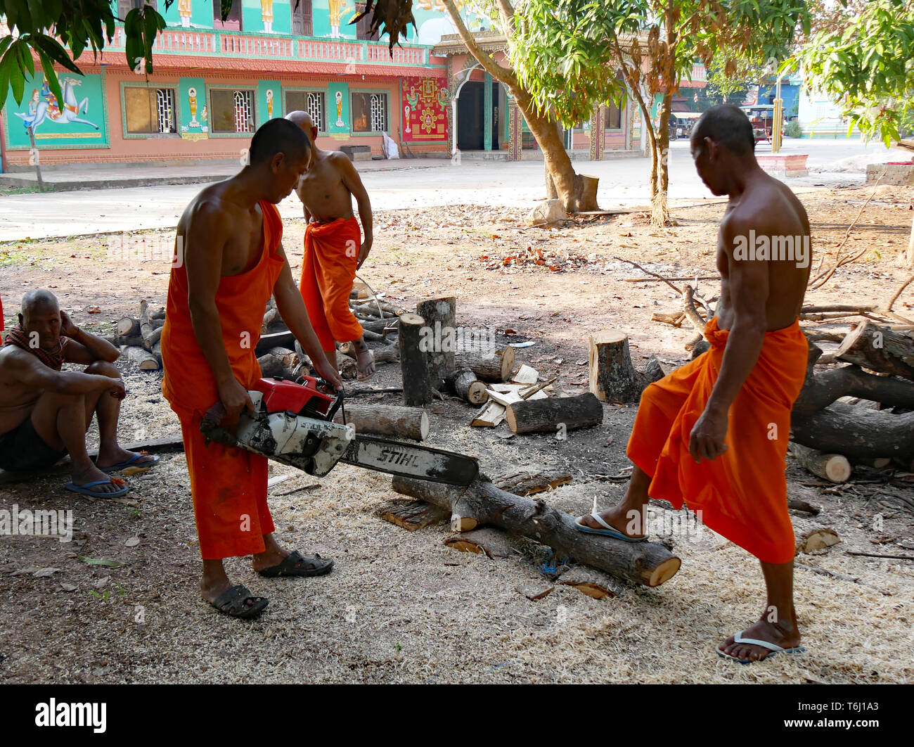 I monaci buddisti in abiti dello zafferano tagliare legna da ardere con una motosega sul tempio motivi. Kampong Thom, Cambogia, 20-12-2018 Foto Stock