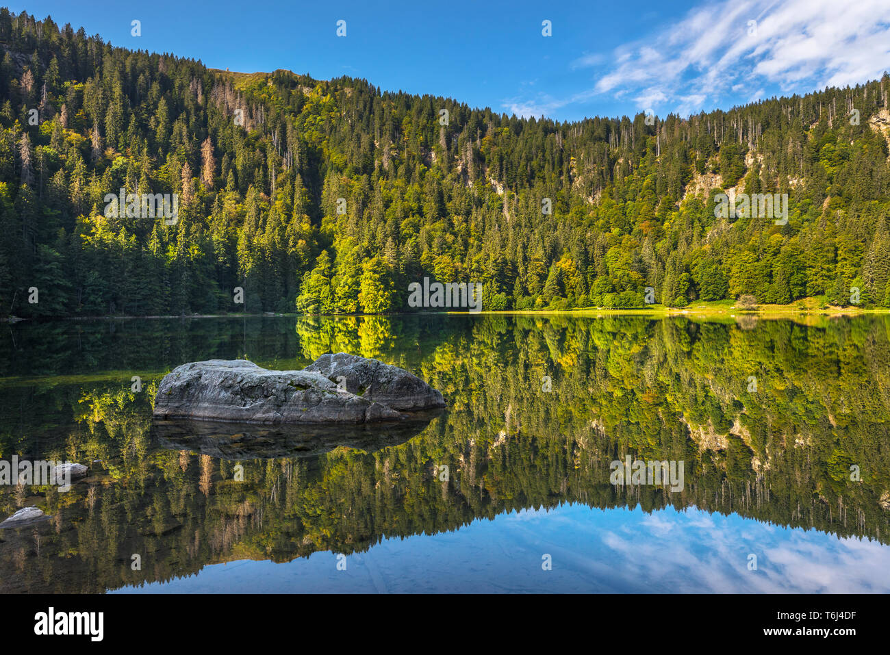 Lago Feldbergsee con scogliere rocciose dell'ex circo glaciale ai piedi del monte Feldberg, Germania, Sud del Parco Naturale della Foresta Nera Foto Stock