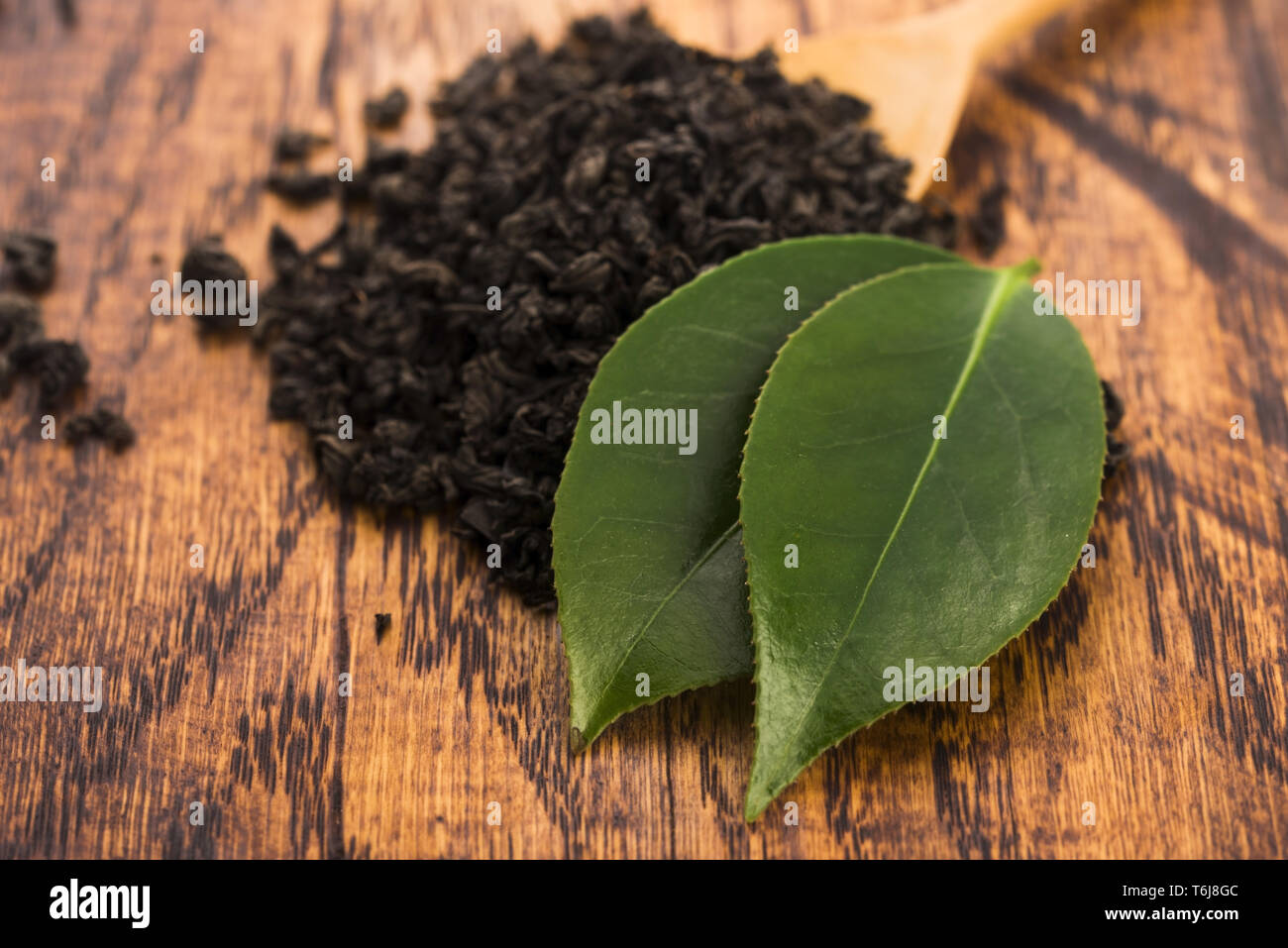 Asciugare il tè e foglie verdi Foto Stock