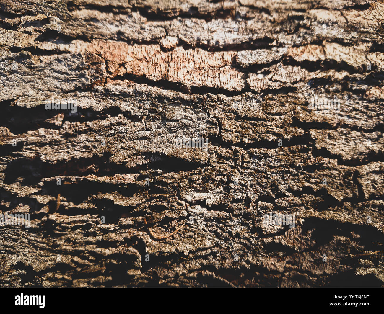 Incrinati texture di massa.Sfondo di legno vecchio.legno grana ruvida sfondo.Grunge materiale di legno Foto Stock