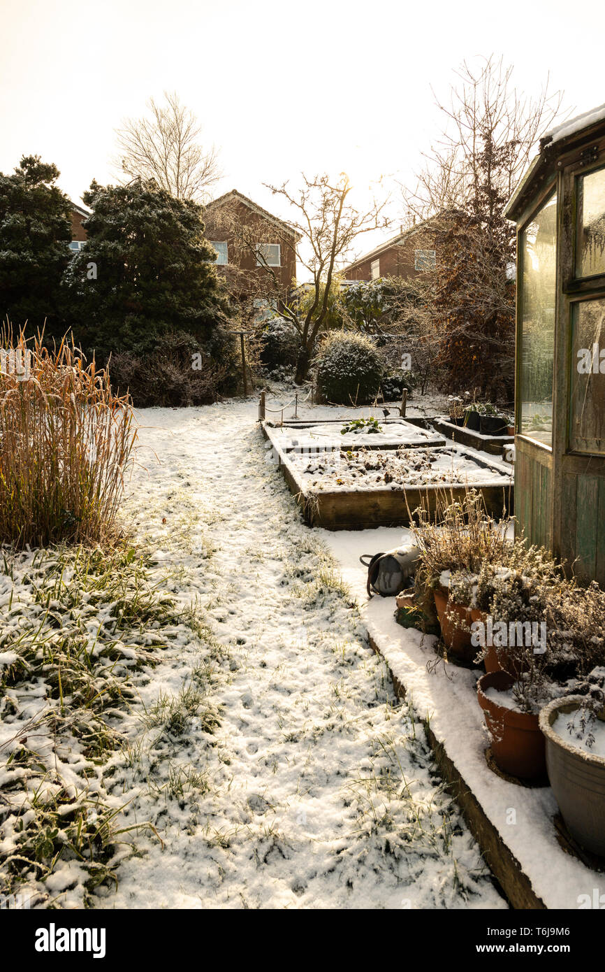 Regno Unito, giardino d'inverno nella neve con brinato serra Foto Stock