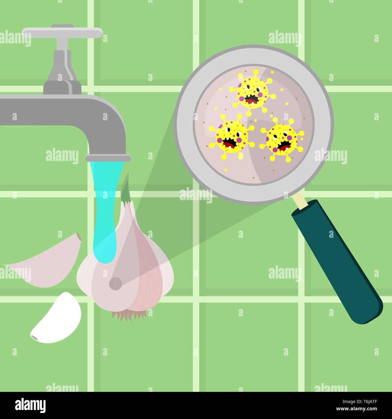 Aglio contaminati con il cartoon microbi essendo pulito e lavato in una cucina. Microrganismi, virus e batteri nel vegetale ingrandita di un mag Illustrazione Vettoriale
