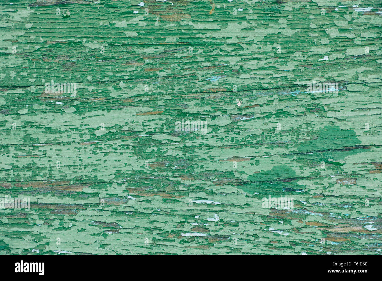 Il vecchio di legno verde texture di sfondo. Close up. Foto Stock