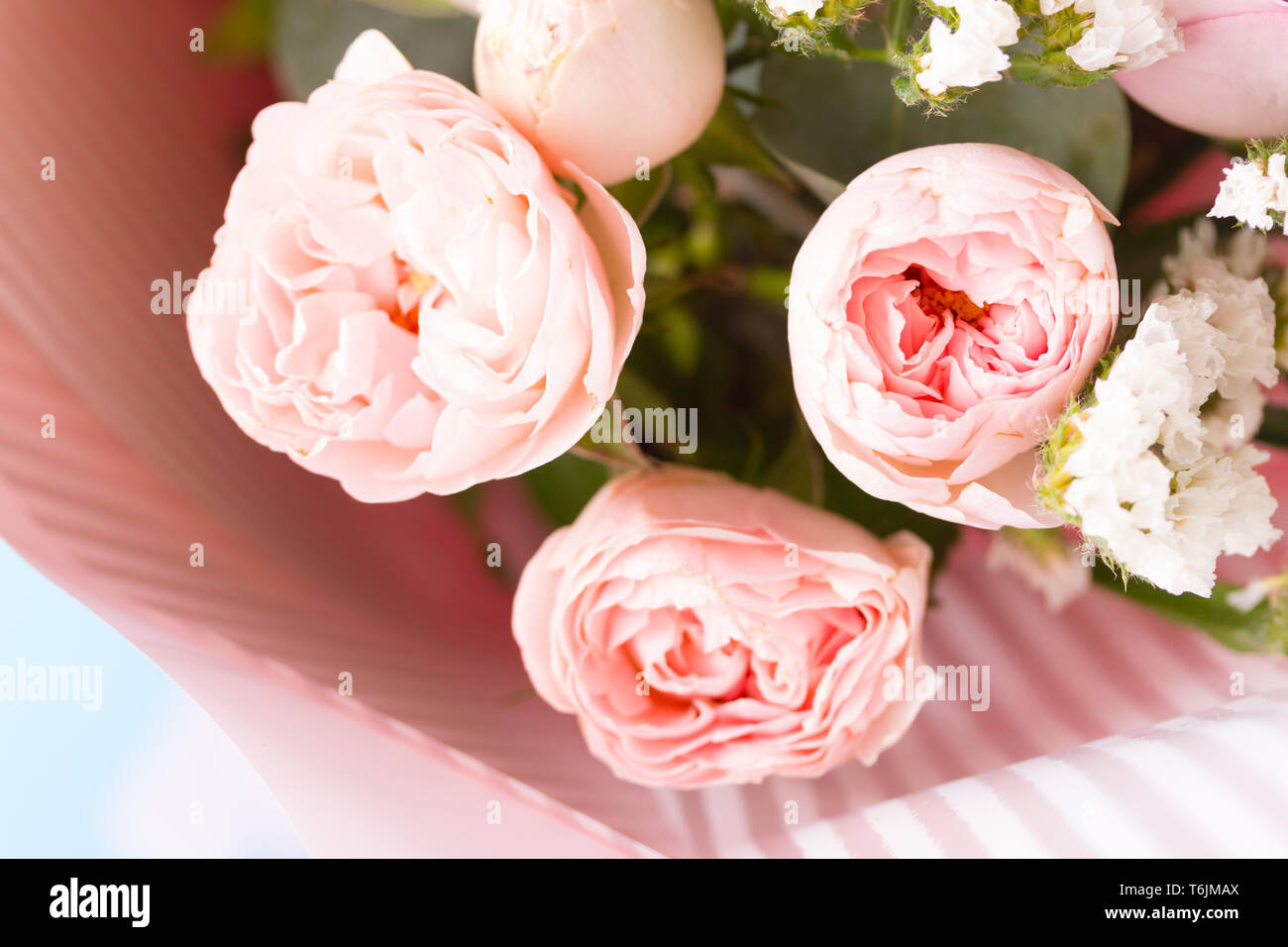 Bouquet di fiori di colore rosa Foto Stock